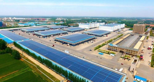 東平大爆發(fā) 物流產(chǎn)業(yè)園引領(lǐng)轉(zhuǎn)型，五年打造國(guó)內(nèi)重要物流樞紐城市